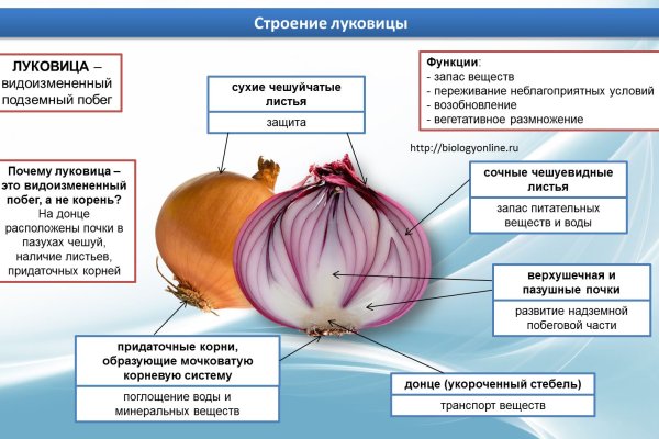 Как вернуть деньги с кракена